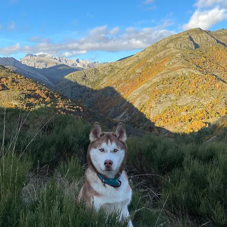 El Invernal De Picos *