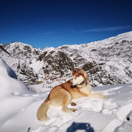 컨트리하우스 El Invernal De Picos Portilla de la Reina