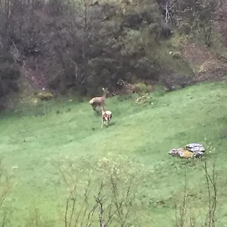 Séjour à la campagne El Invernal De Picos *