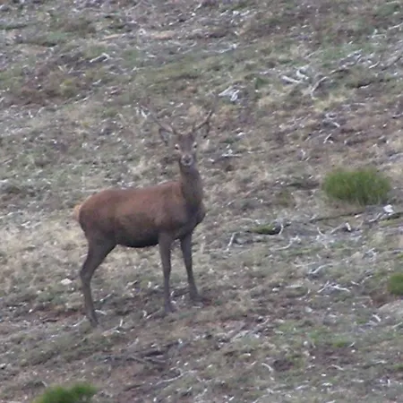 El Invernal De Picos Séjour à la campagne Portilla de la Reina