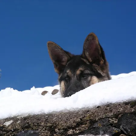 El Invernal De Picos *
