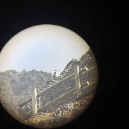 컨트리하우스 El Invernal De Picos Portilla de la Reina