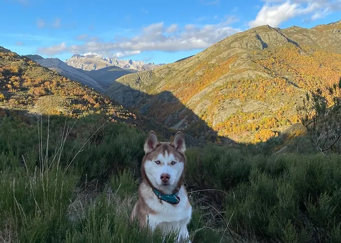 El Invernal De Picos *