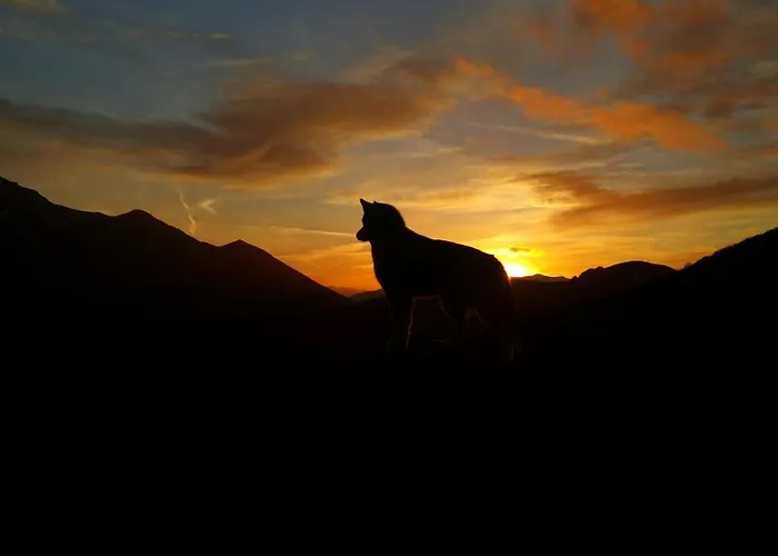 El Invernal De Picos * Portilla de la Reina