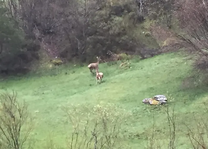 カントリーハウス El Invernal De Picos *